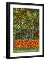 Oranges, Florida-null-Framed Art Print