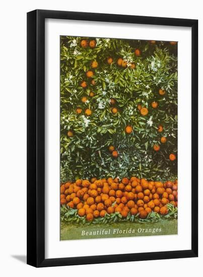 Oranges, Florida-null-Framed Art Print