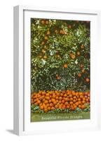 Oranges, Florida-null-Framed Art Print