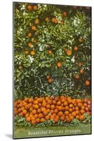 Oranges, Florida-null-Mounted Art Print