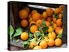 Oranges for Sale in the Souk, Fes, Morocco-null-Stretched Canvas