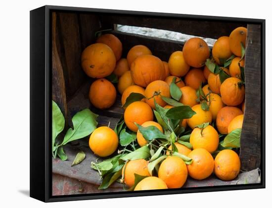 Oranges for Sale in the Souk, Fes, Morocco-null-Framed Stretched Canvas