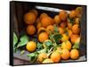 Oranges for Sale in the Souk, Fes, Morocco-null-Framed Stretched Canvas