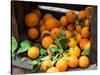 Oranges for Sale in the Souk, Fes, Morocco-null-Stretched Canvas