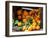 Oranges for Sale in the Souk, Fes, Morocco-null-Framed Photographic Print