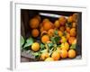 Oranges for Sale in the Souk, Fes, Morocco-null-Framed Photographic Print