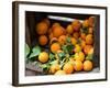 Oranges for Sale in the Souk, Fes, Morocco-null-Framed Photographic Print