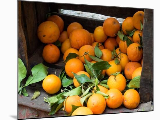 Oranges for Sale in the Souk, Fes, Morocco-null-Mounted Photographic Print