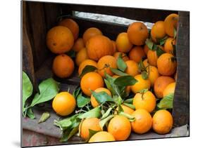 Oranges for Sale in the Souk, Fes, Morocco-null-Mounted Photographic Print