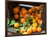 Oranges for Sale in the Souk, Fes, Morocco-null-Framed Photographic Print