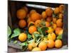 Oranges for Sale in the Souk, Fes, Morocco-null-Mounted Photographic Print