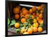 Oranges for Sale in the Souk, Fes, Morocco-null-Framed Photographic Print