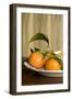 Oranges I-Karyn Millet-Framed Photographic Print