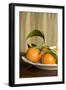 Oranges I-Karyn Millet-Framed Photographic Print