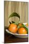 Oranges I-Karyn Millet-Mounted Photographic Print