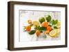 Oranges, Limes, Lemons and Clementines on White Wooden Table-Jana Ihle-Framed Photographic Print