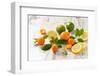 Oranges, Limes, Lemons and Clementines on White Wooden Table-Jana Ihle-Framed Photographic Print