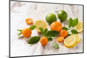 Oranges, Limes, Lemons and Clementines on White Wooden Table-Jana Ihle-Mounted Photographic Print