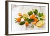 Oranges, Limes, Lemons and Clementines on White Wooden Table-Jana Ihle-Framed Photographic Print