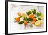 Oranges, Limes, Lemons and Clementines on White Wooden Table-Jana Ihle-Framed Photographic Print