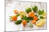 Oranges, Limes, Lemons and Clementines on White Wooden Table-Jana Ihle-Mounted Photographic Print