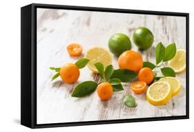 Oranges, Limes, Lemons and Clementines on White Wooden Table-Jana Ihle-Framed Stretched Canvas