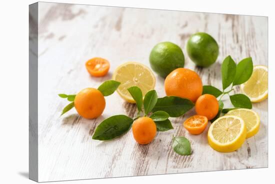 Oranges, Limes, Lemons and Clementines on White Wooden Table-Jana Ihle-Stretched Canvas