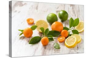 Oranges, Limes, Lemons and Clementines on White Wooden Table-Jana Ihle-Stretched Canvas