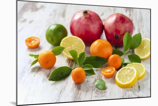 Oranges, Limes, Lemons, Clementines and Pomegranates on White Wooden Table-Jana Ihle-Mounted Photographic Print
