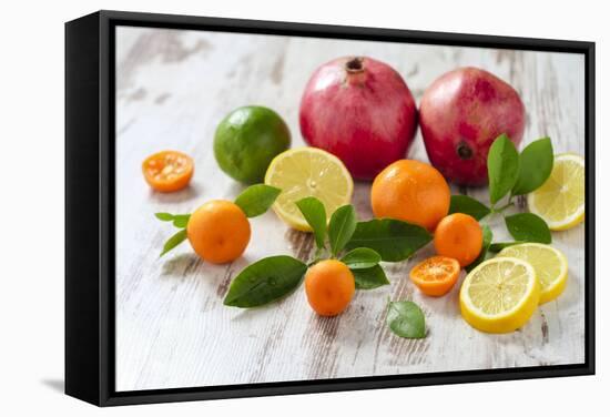 Oranges, Limes, Lemons, Clementines and Pomegranates on White Wooden Table-Jana Ihle-Framed Stretched Canvas