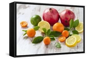 Oranges, Limes, Lemons, Clementines and Pomegranates on White Wooden Table-Jana Ihle-Framed Stretched Canvas