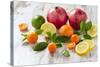 Oranges, Limes, Lemons, Clementines and Pomegranates on White Wooden Table-Jana Ihle-Stretched Canvas