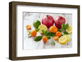 Oranges, Limes, Lemons, Clementines and Pomegranates on White Wooden Table-Jana Ihle-Framed Photographic Print