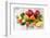 Oranges, Limes, Lemons, Clementines and Pomegranates on White Wooden Table-Jana Ihle-Framed Photographic Print