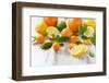 Oranges, Limes, Lemons, Clementines on White Wooden Table-Jana Ihle-Framed Photographic Print