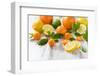 Oranges, Limes, Lemons, Clementines on White Wooden Table-Jana Ihle-Framed Photographic Print