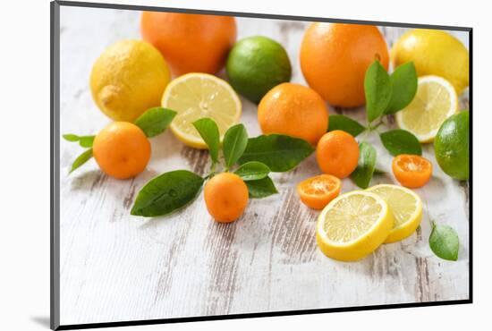 Oranges, Limes, Lemons, Clementines on White Wooden Table-Jana Ihle-Mounted Photographic Print