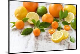 Oranges, Limes, Lemons, Clementines on White Wooden Table-Jana Ihle-Mounted Photographic Print