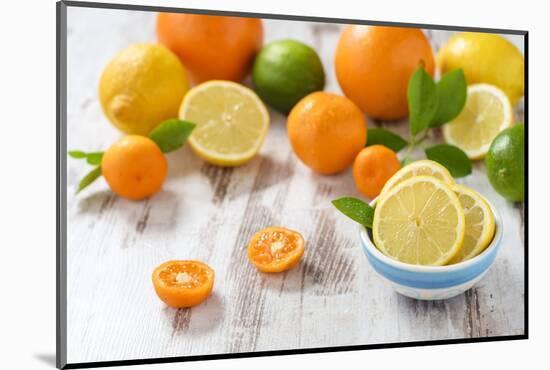 Oranges, Limes, Lemons, Clementines on White Wooden Table-Jana Ihle-Mounted Photographic Print