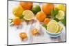 Oranges, Limes, Lemons, Clementines on White Wooden Table-Jana Ihle-Mounted Photographic Print
