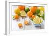 Oranges, Limes, Lemons, Clementines on White Wooden Table-Jana Ihle-Framed Photographic Print