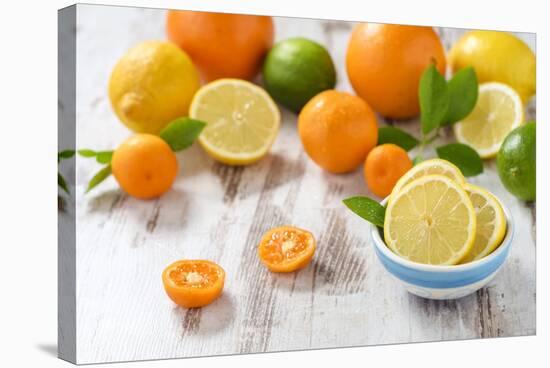 Oranges, Limes, Lemons, Clementines on White Wooden Table-Jana Ihle-Stretched Canvas