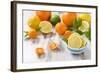 Oranges, Limes, Lemons, Clementines on White Wooden Table-Jana Ihle-Framed Photographic Print