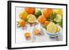 Oranges, Limes, Lemons, Clementines on White Wooden Table-Jana Ihle-Framed Photographic Print