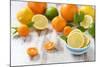 Oranges, Limes, Lemons, Clementines on White Wooden Table-Jana Ihle-Mounted Photographic Print