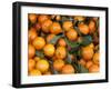 Oranges, Nasch Market, Kettenbrucke, Austria-Marilyn Parver-Framed Photographic Print