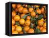 Oranges, Nasch Market, Kettenbrucke, Austria-Marilyn Parver-Framed Stretched Canvas