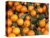 Oranges, Nasch Market, Kettenbrucke, Austria-Marilyn Parver-Stretched Canvas