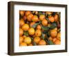 Oranges, Nasch Market, Kettenbrucke, Austria-Marilyn Parver-Framed Photographic Print