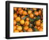 Oranges, Nasch Market, Kettenbrucke, Austria-Marilyn Parver-Framed Photographic Print